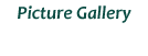 Bildergalerie