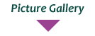 Bildergalerie